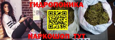 прущие крисы Славянск-на-Кубани