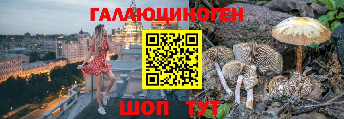 Галлюциногенные грибы MAGIC MUSHROOMS  Вход с VPN  Псилоцибиновые грибы Psilocybe  сколько стоит  Новоалтайск 